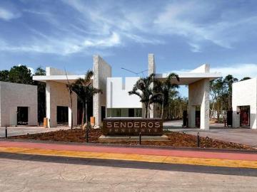 Terreno Fraccionamiento Ciudad Mayakoba