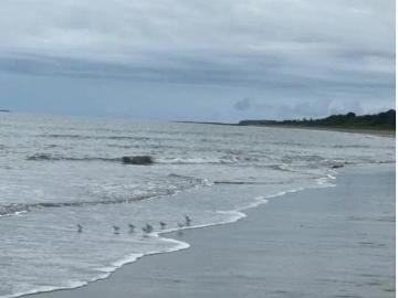 TERRENO FRENTE A PLAYA POCRI VENTA