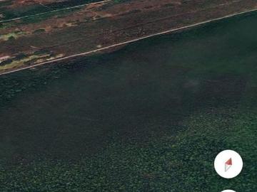 Terreno frente al mar en Champot?n Campeche, 100 ML, listo para escriturar