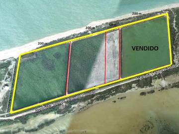 Terreno Frente Al Mar en Sisal, Ideal para Desarrollar