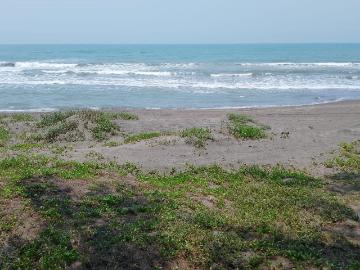 Terreno frente al mar en Vega de Alatorre