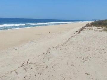 Terreno frente al Pacífico en Rio Grande, Puerto Escondido, Oaxaca, México