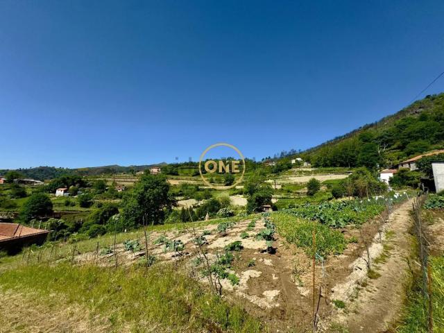 Terreno, Frende