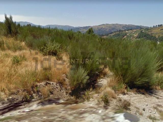 Terreno, Frende