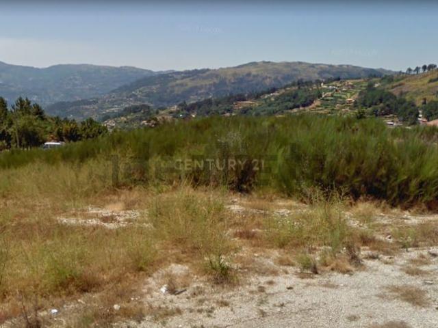 Terreno, Frende