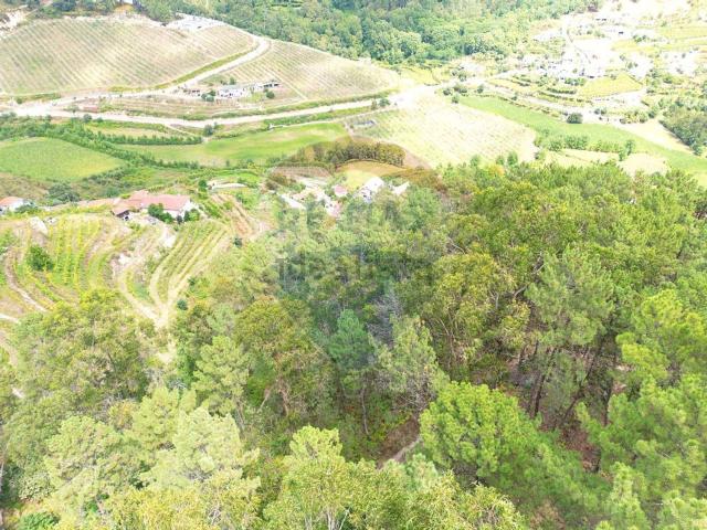 Terreno, Freixo de Cima e de Baixo