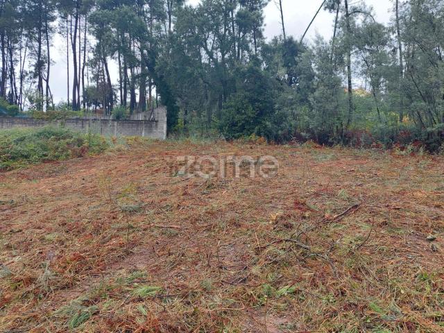 Terreno, Freixo de Cima e de Baixo