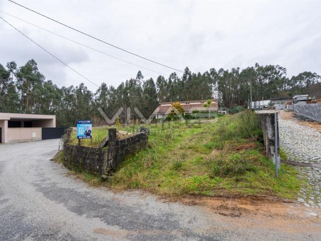 Terreno, Freiriz