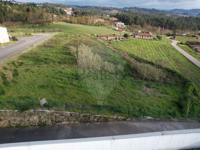 Terreno, Friande