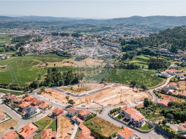 Terreno, Friande