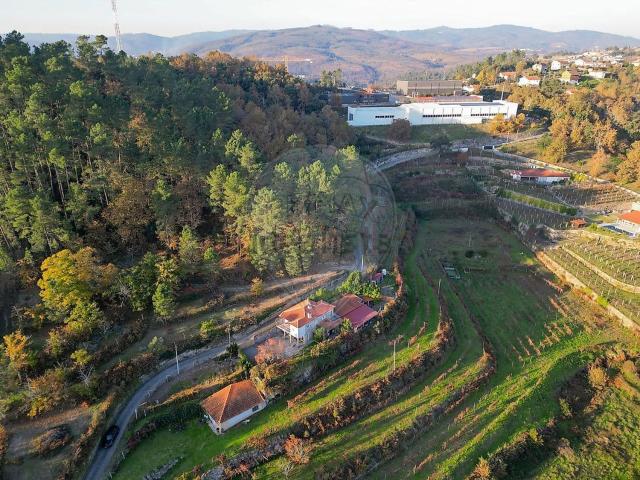 Terreno, Fridão