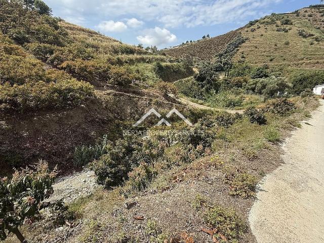 Terreno, Frigiliana