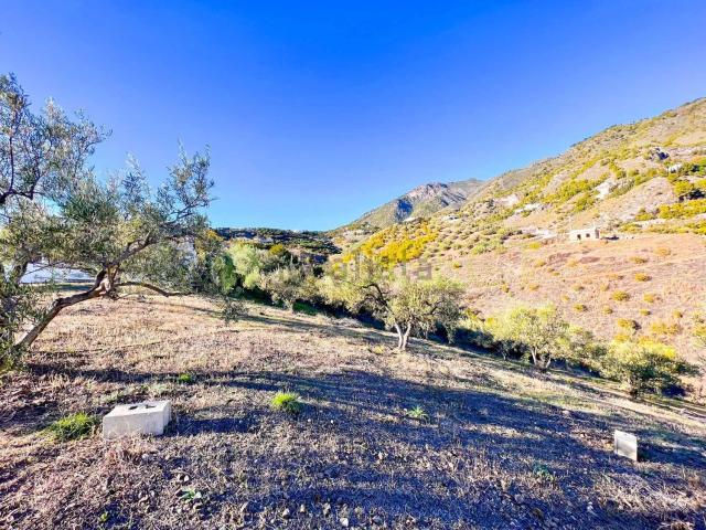 Terreno, Frigiliana