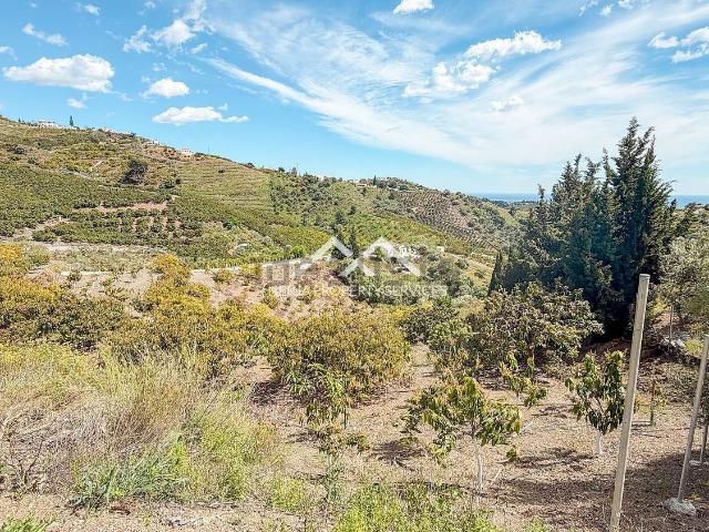 Terreno, Frigiliana