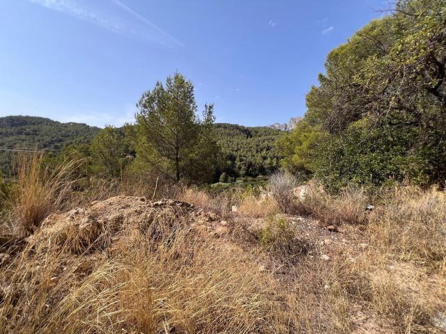 Terreno, Guadalest