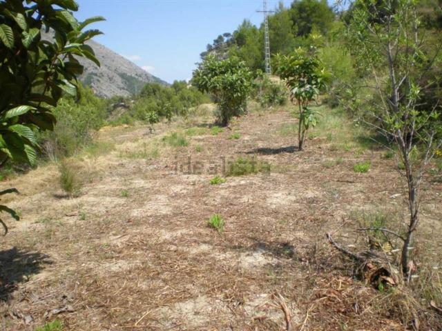 Terreno, Guadalest