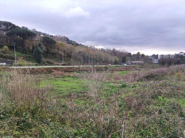 Terreno, Gualtar