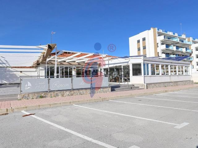 Terreno, Guardamar del Segura