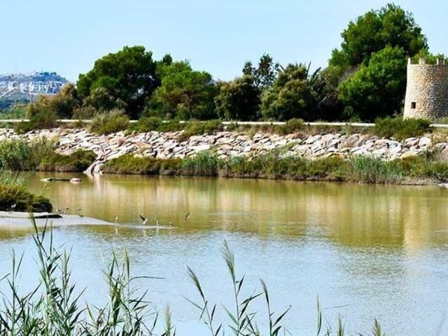 Terreno, Guardamar del Segura