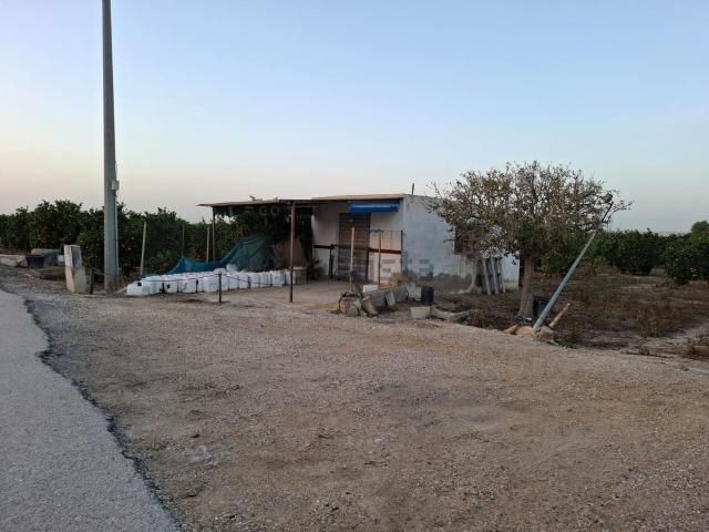 Terreno, Guardamar del Segura