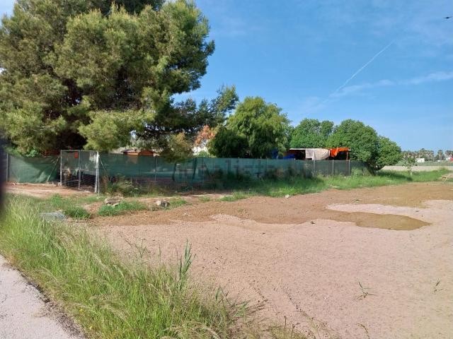 Terreno, Guardamar del Segura