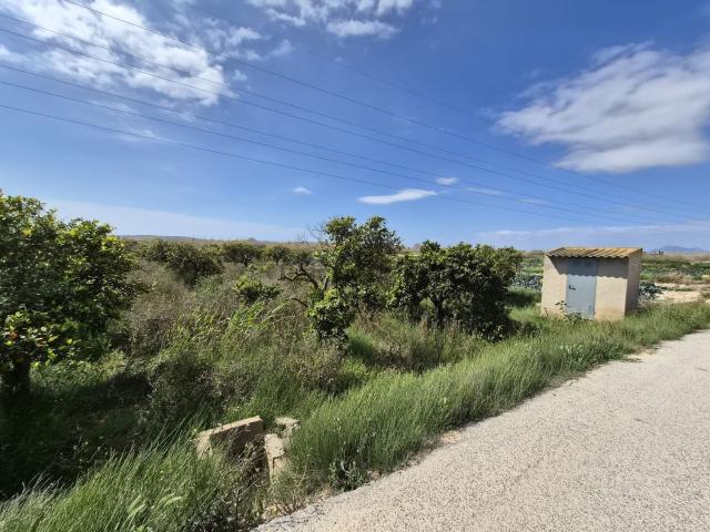 Terreno, Guardamar del Segura