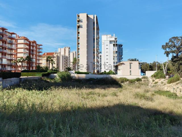 Terreno, Guardamar del Segura