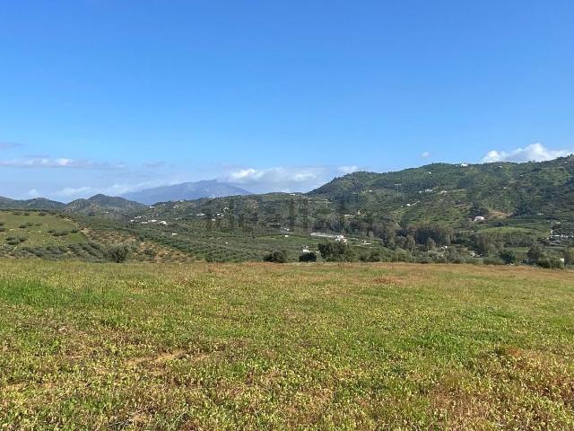 Terreno, Guaro
