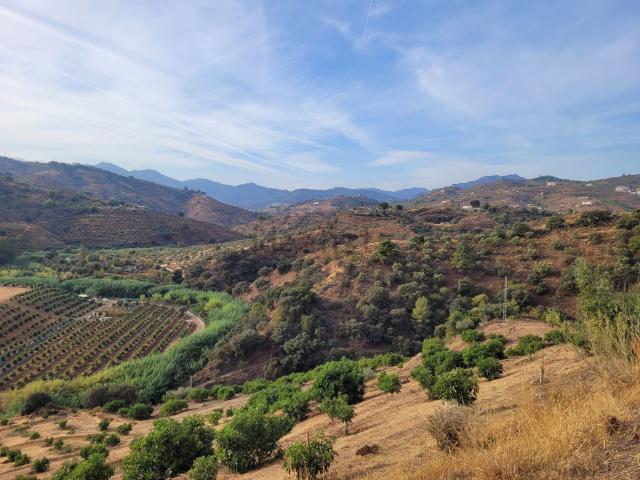 Terreno, Guaro