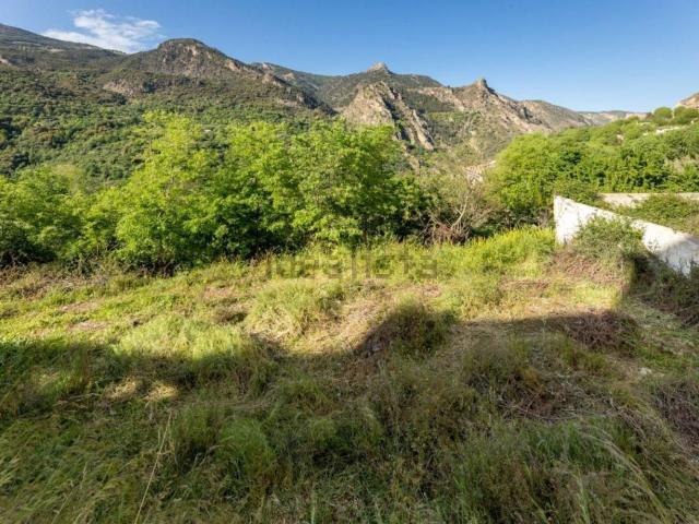 Terreno, Güéjar Sierra