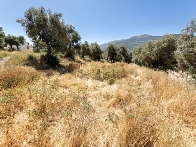 Terreno, Güéjar Sierra