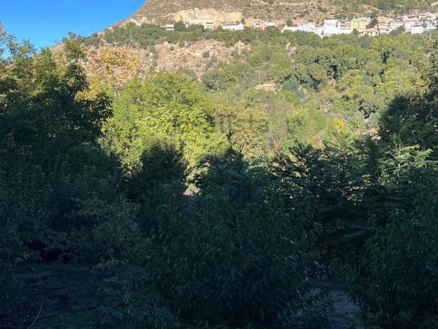 Terreno, Güéjar Sierra