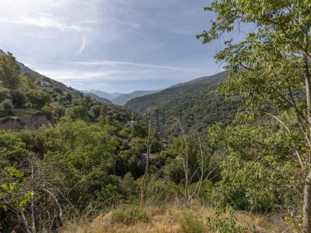 Terreno, Güéjar Sierra