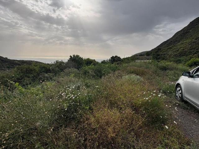 Terreno, Güimar