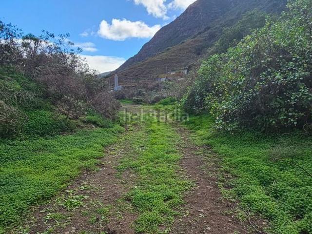 Terreno, Güimar