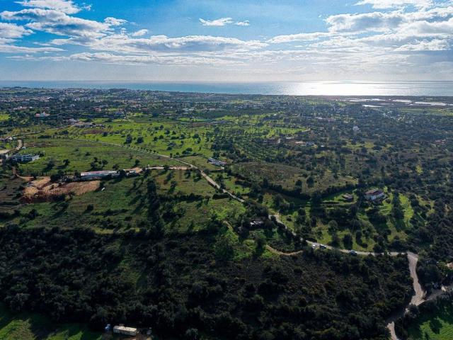 Terreno, Guia