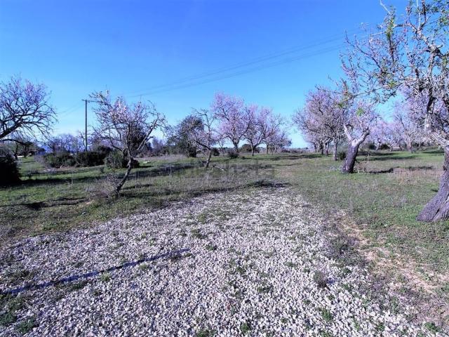 Terreno, Guia
