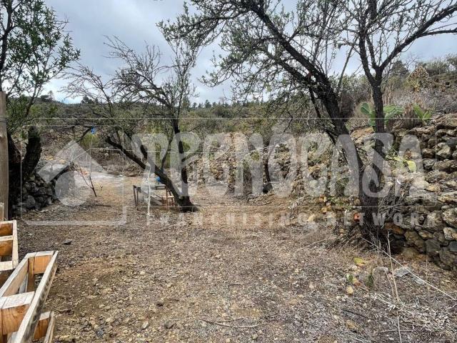 Terreno, Guia de Isora