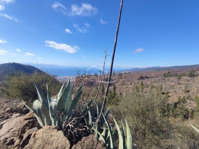 Terreno, Guia de Isora
