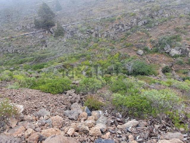 Terreno, Guia de Isora