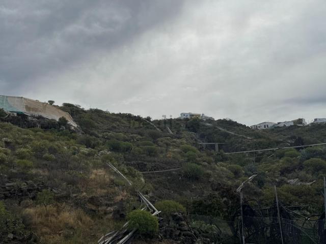 Terreno, Guia de Isora