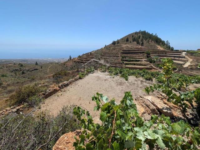 Terreno, Guia de Isora