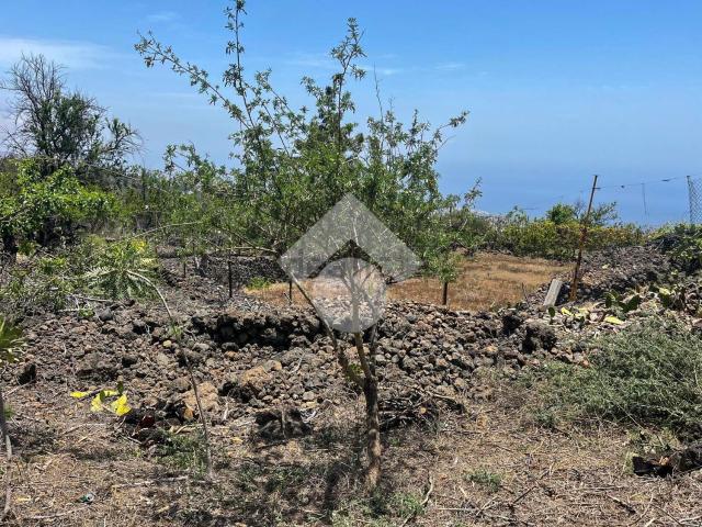 Terreno, Guia de Isora