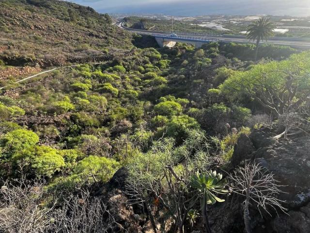 Terreno, Guia de Isora