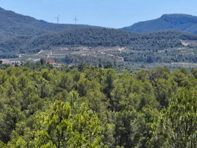 Terreno, Guiamets Els