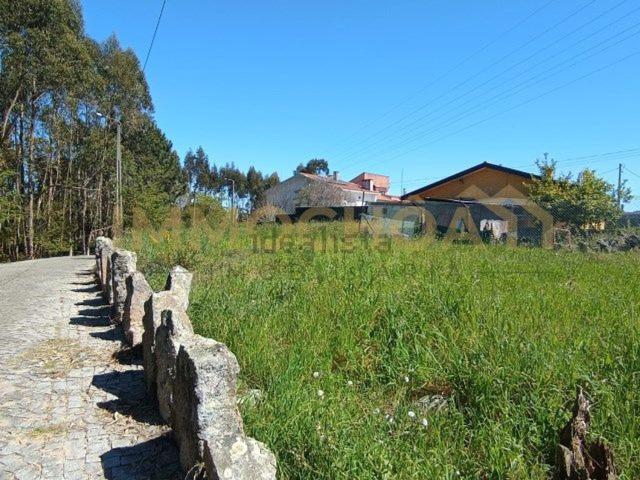Terreno, Guifões