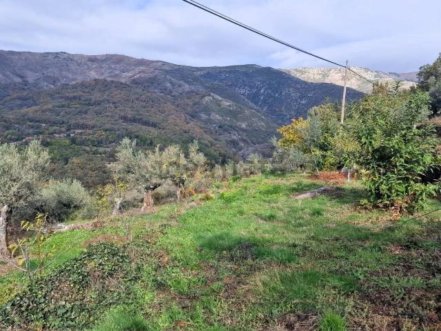 Terreno, Guijo de Santa Barbara