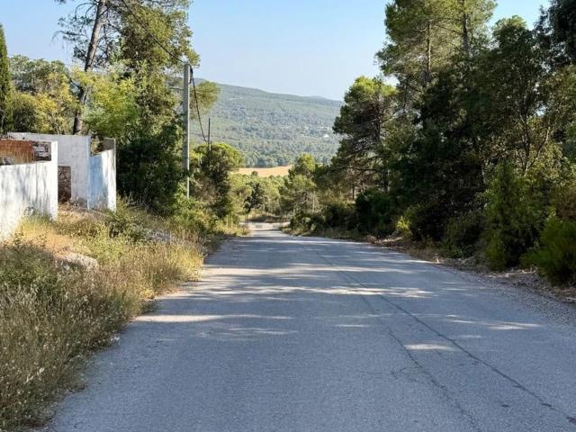 Terreno, Guissona