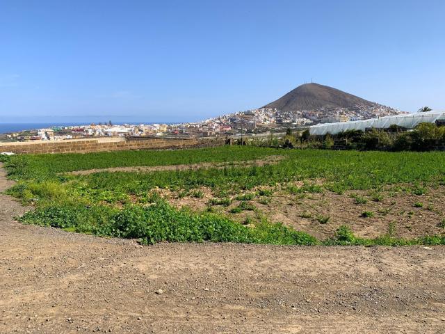 Terreno, Gáldar