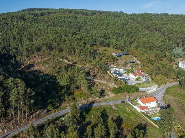 Terreno, Galegos